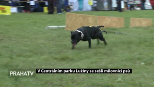 V Centrálním parku Lužiny se sešli milovníci psů