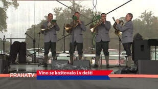 Víno se koštovalo i v dešti