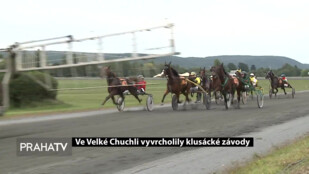 Ve Velké Chuchli vyvrcholily klusácké dostihy