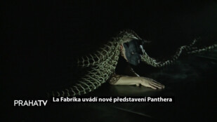 La Fabrika uvádí nové představení Panthera
