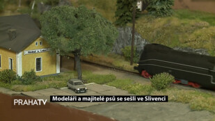 Modeláři a majitelé psů se sešli ve Slivenci