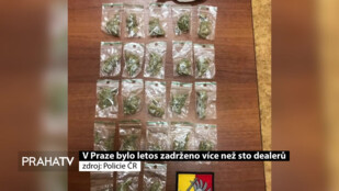 V Praze bylo letos zadrženo více než sto dealerů