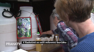 V Radotíně se sešli milovníci burčáku