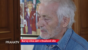 Barvy vína září v Duslově vile