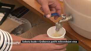 Sobota bude v Grébovce patřit milovníkům vína