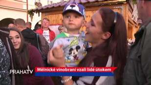 Mělnické vinobraní vzali lidé útokem