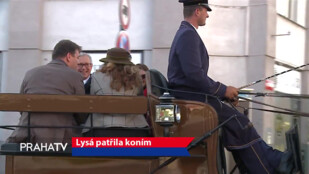 Lysá patřila koním