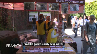 Pražské gorily slavily svůj svátek