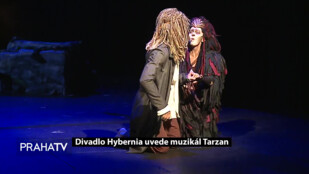 Divadlo Hybernia uvede muzikál Tarzan