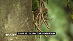 Botanická zahrada v Troji zavřela skleník