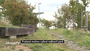 Pražané mohou vybrat nejhezčí park