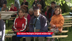 Za název Počepic zřejmě může čáp