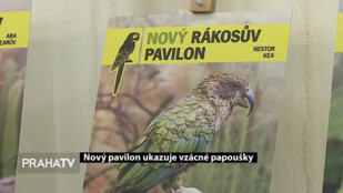 Nový pavilon ukazuje vzácné papoušky