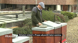 Střešní včelaři v Praze ukončili letní sezónu