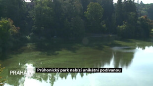 Průhonický park nabízí unikátní podívanou