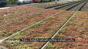 Trávu v kolejích nahradí rostliny snášející sucho