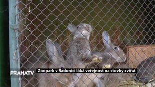 Zoopark v Radonici láká na stovky zvířat