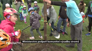 Ministerstvo podpoří komunitní výsadbu stromů