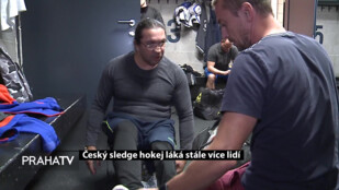 Český sledge hokej láká stále více lidí