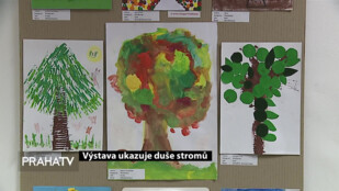 Výstava ukazuje duše stromů
