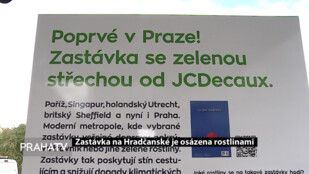 Zastávka na Hradčanské je osázena rostlinami