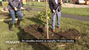 Do výsadby stromů se zapojily i Pražské služby