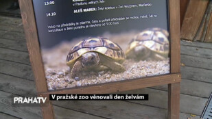 V pražské zoo věnovali den želvám