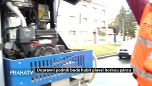 Dopravní podnik bude hubit plevel horkou párou
