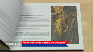 Nová kniha vás vezme do podzemí