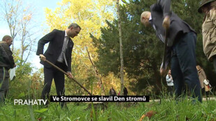 Ve Stromovce se slavil Den stromů