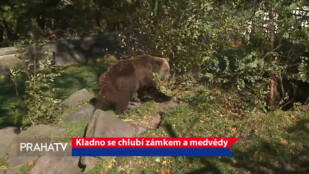 Kladno se chlubí zámkem a medvědy