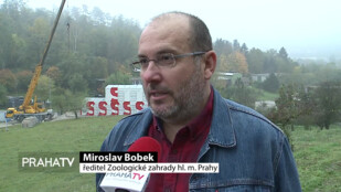 Pražská Zoo by měla mít druhý hlavní vchod