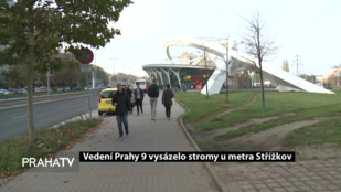 Vedení Prahy 9 vysázelo stromy u metra Střížkov