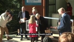 V Česku roste řada kvalitních malířů