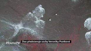 Dox představuje sochy Veroniky Psotkové
