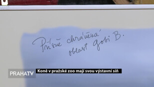 Koně v  pražské zoo mají svou výstavní síň