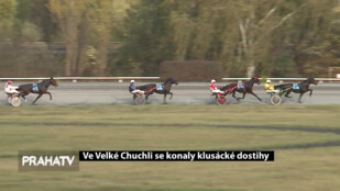 Ve Velké Chuchli se konaly klusácké dostihy