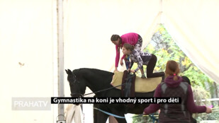 Gymnastika na koni je vhodný sport i pro děti