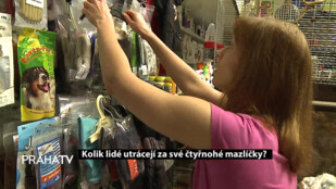 Kolik lidé utrácejí za své čtyřnohé mazlíčky?