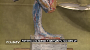 Novoměstská radnice hostí výstavu Palaestra 20