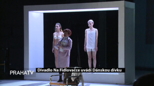 Divadlo Na Fidlovačce uvádí Dánskou dívku