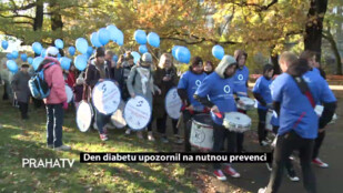 Den diabetu upozornil na nutnou prevenci