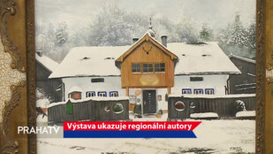 Výstava ukazuje regionální autory