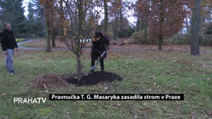 Pravnučka T. G. Masaryka zasadila strom v Praze