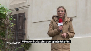 V Praze 6 bude stát strom splněných přání