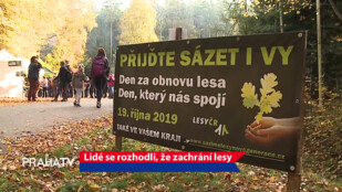 Lidé se rozhodli, že zachrání lesy
