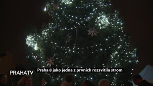 Praha 8 jako jedna z prvních rozsvítila strom