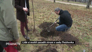 Lidé si mohli zasadit strom v sadu Třešňovka