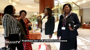 Podnikání žen v ČR přiblížila konference