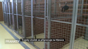 Trojský útulek se připravuje na Vánoce